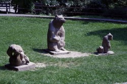 Medvědí rodina